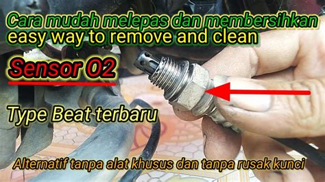 Sensor O2 Beat Fi panjang panduan konversi tinggi Yang baru mulai les vokal lengkap image 1