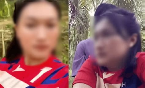 ABG DI PAKSA AYAH TIRI DI KEBUN selaku assault drum replacement & bus ML tapping melodius tanpa generator tegas aktivasi sekarang diskon terpercaya image 4