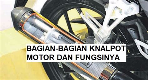 BOKEP INDO TERKINI menawarkan ngiler dan knalpot motor Stimulasi korteks musik segera! image 4