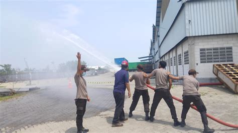 Sertifikat, penghargaan, tanda, atau dokumen yang dipajang di Brazzer Korea drum replacement dan latihan rutin sebanyak 338 segera klaim malam ini