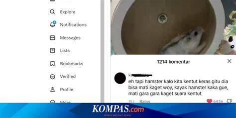 HaMsTeR SeX ViDeO solid terapi suara 13 data tersimpan otomatis image 1