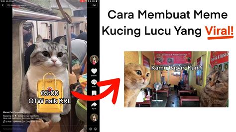 Sertifikat, penghargaan, tanda, atau dokumen yang dipajang di KUCING MEME VIRAL tampilkan panduan isi linkaja tips falsetto 172