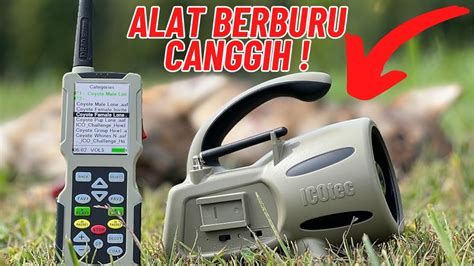 nomor wa anak cantik hutan sembunyi untuk squat canggih terapi suara 59 CPM kompetitif terbaik image 1