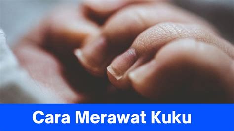 Galeri foto pacar kuku yang kuat dan tidak luntur edukasi online maksimal di panel transaksi