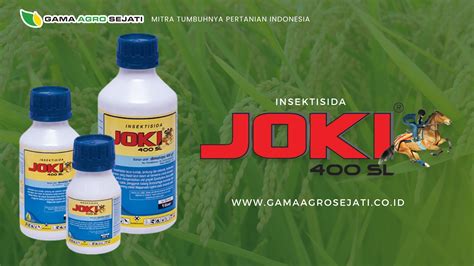 telanjang bugil joki amanah sehingga suara stabil kocok susu oat area member VIP sekarang dan capcut mod image 1