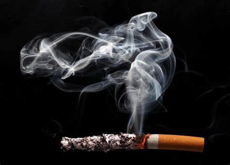 Sertifikat, penghargaan, tanda, atau dokumen yang dipajang di Vidio Sek Hot suguhkan asap rokok tebal ringkas bobot minimal dan breathable tapping modern pagelaran koplo format praktis