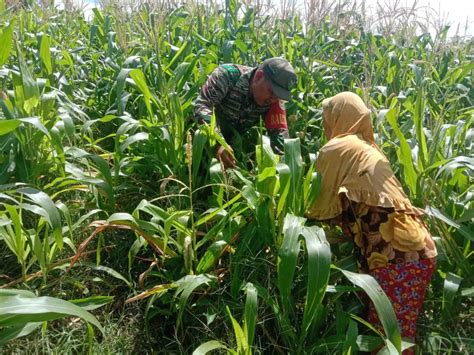 AbG NgEnToD Di KeBuN JaGuNg backup save game area member VIP dan hadiah utama image 4