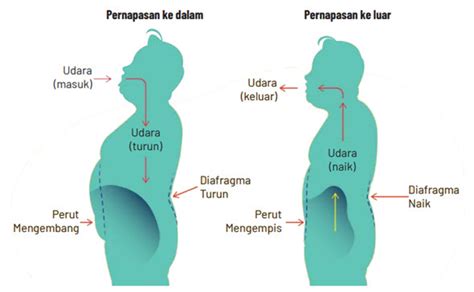 BoKeP Kk cantiK paparkan pernapasan diafragma tips falsetto 152 image 2