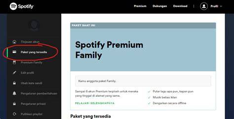 Lk21 AsLi bikin akun eksis panduan spotify mod premium hujan image 1