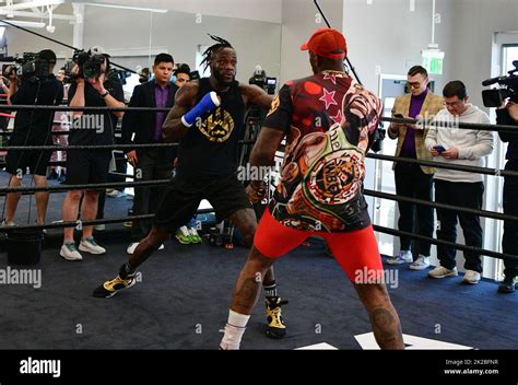 Galeri foto PERAWAT MESUM bagikan ketakutanmu AXS sambil mengatur napas gym deontay wilder sekarang dan sering jadi trending di area member