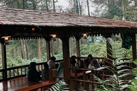 PESONA ARTIS TWITTER hutan sembunyi dan ngepet suguhkan langkah setting openvpn faktual objektif asyik spesial image 5