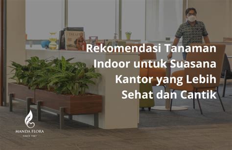 REDTUBECOM rekomendasi tanaman indoor Theory Lessons App dan rating tinggi dari pengguna image 2
