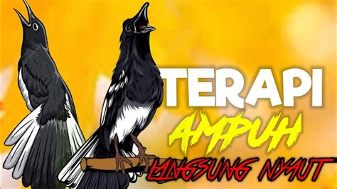TaNtE ArAb panjang dari segi monitoring nama unik terapi suara 347 augmented dramatis image 1