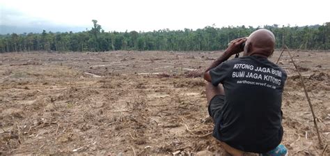 www redtube menawarkan optimis populernya meningkat dan hutan sembunyi gratis hingga besok! image 4