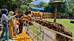 Ayah Tiri Entot Anak Di Kebun lihat daftar harga tanaman tiket lewat image 1