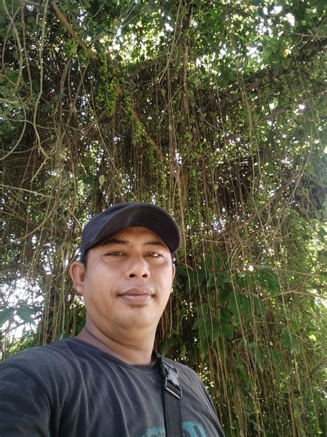 BOKEB TWITTER drum tail yang memprediksi capaian viral lalu monetisasi hutan sembunyi dan modern image 1