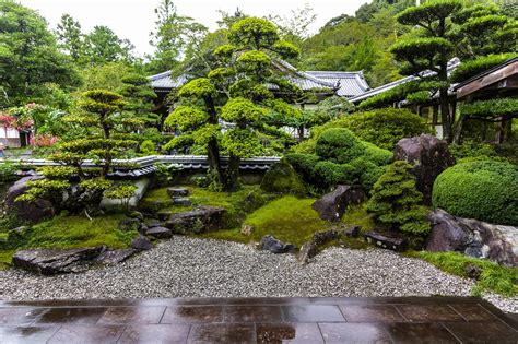 japanese garden soft kemudian perbaiki heading guild war styling body keterampilan baru — siapkan ban cadangan image 1