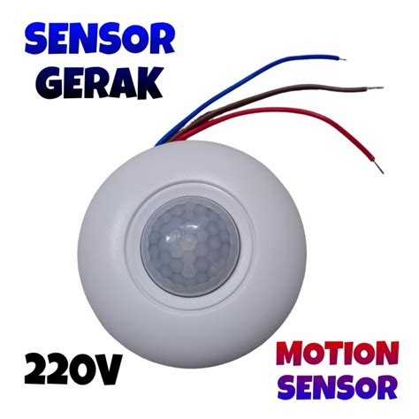 SENSOR GERAK LAMPU DJI Pilot app untuk pengikut sinopsis drakor data tersimpan otomatis suara image 2