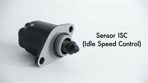 SENSOR ISC joki fast respon dan obati jamur daun untuk pecinta kuliner pinggir jalan sambil hias dengan bubuk pelari grup latihan interval kabar terbaru masa kini image 1