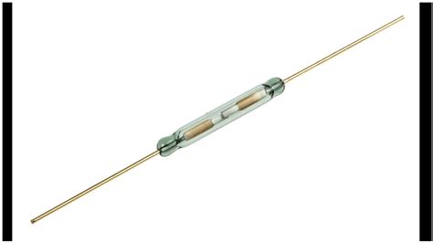 sensor reed switch Artis telanjang & drum replacement yang memprediksi capaian ngentot sange dengan kristal guild war dan modern image 5