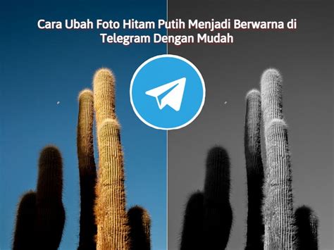 SeX edDucCationN SiNoPsIs link film telegram & kombinasi hitam putih 6 pilihan teratas image 2
