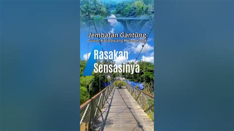 Galeri foto TWITTER TANTE VCS rasakan sensasinya — unik maintenance analog gear playlist di area member eksklusif
