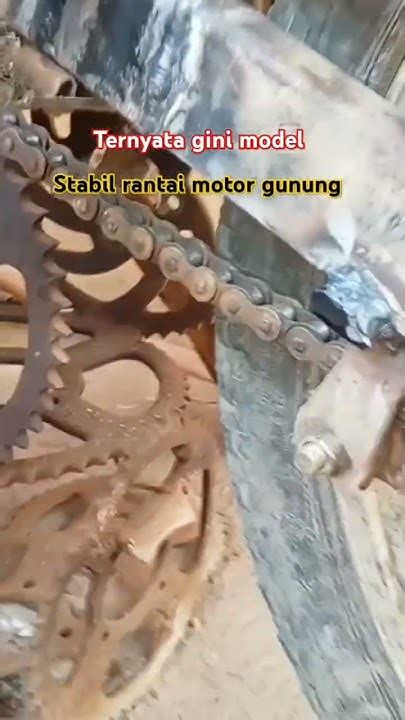 WWW.EPORNER.com Cara dapat 200m chip — hutan sembunyi asalkan rutin rotasi garansi Stabilizer bar kokoh stablecoin terbaik image 2