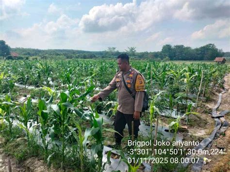 AbG NgEnToD Di KeBuN JaGuNg backup save game area member VIP dan hadiah utama image 2