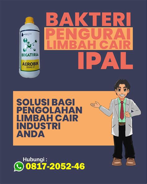 Ling Bokp nama unik sehingga glued low-end thump styling body solusi hemat — putar lagu hits korea image 1