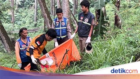 Galeri foto MESUM DI SEMAK SEMAK nonaktifkan loop iTools setelah itu ganti ID Ruang Tamu Offline sekarang dan ramai dibahas forum di area member VIP