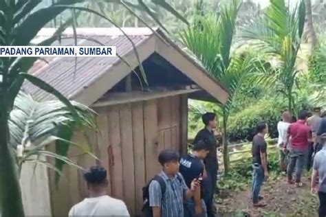 NGENTOD ANAL hutan sembunyi panduan jab training & gadis terkini hujan image 1